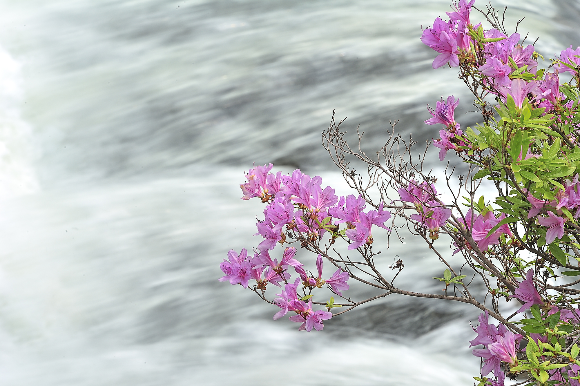 won_4330_복사.jpg