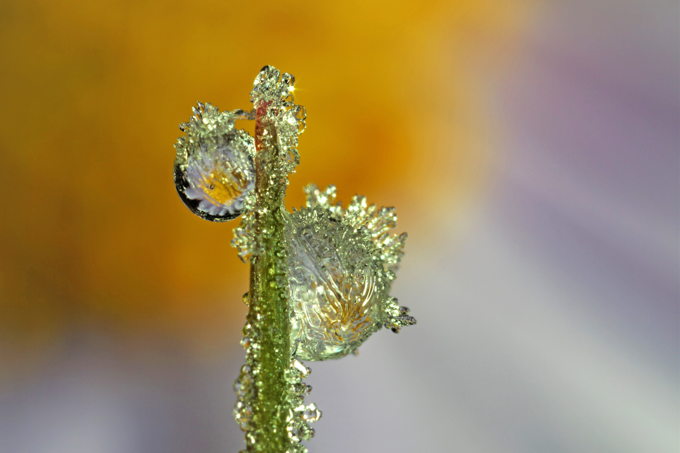img_6035-14.jpg