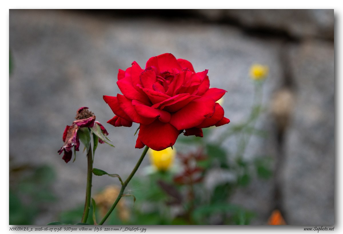 ca69aef7d2844af882172c80f5db1f11.jpg