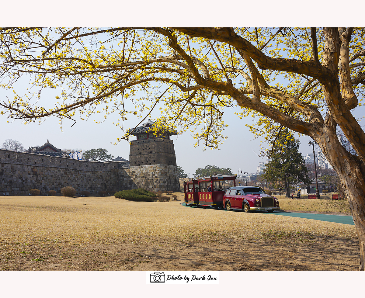 D55A0298-4.jpg