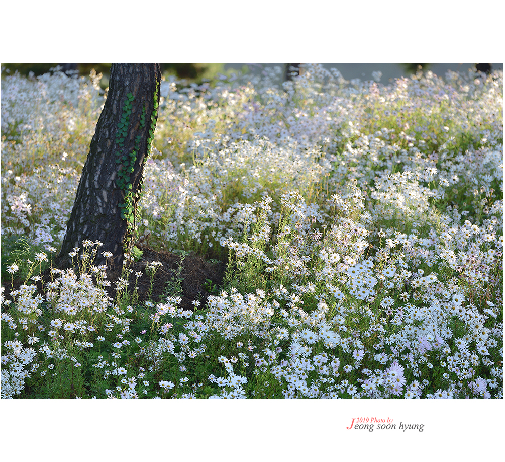 DSC_6882r.jpg