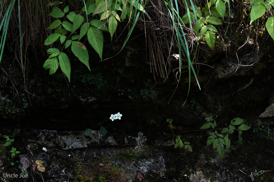 untitled-6303.jpg