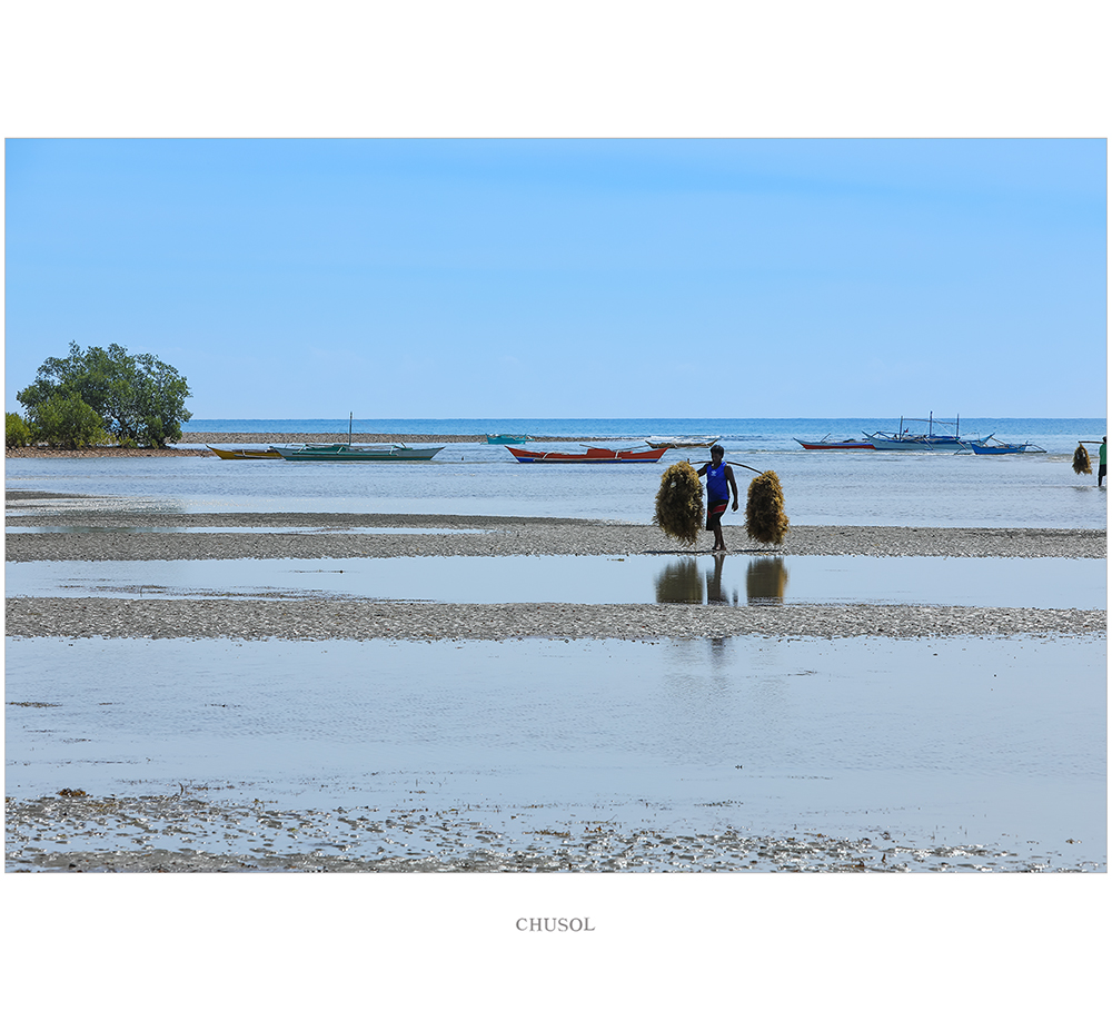 _D3A6795.jpg