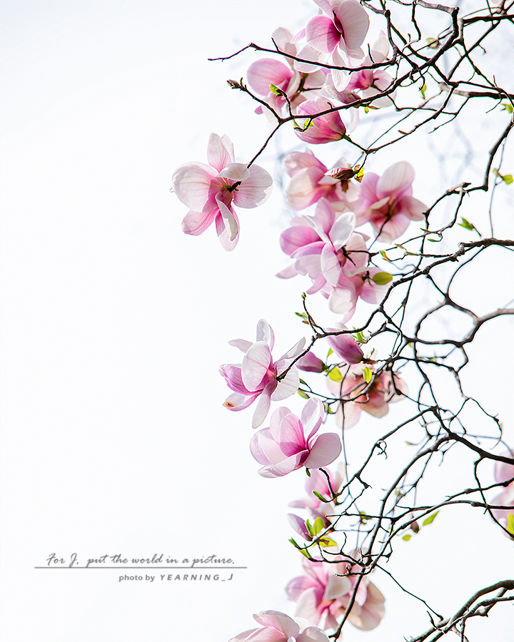 24K_6907-1ins-1f.jpg