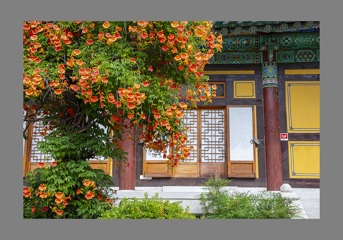 D55A0155-3.jpg