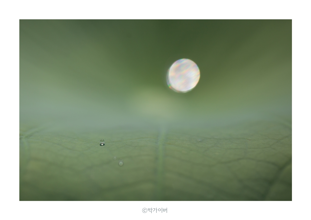 ④parkgyver_0128_1000_.jpg
