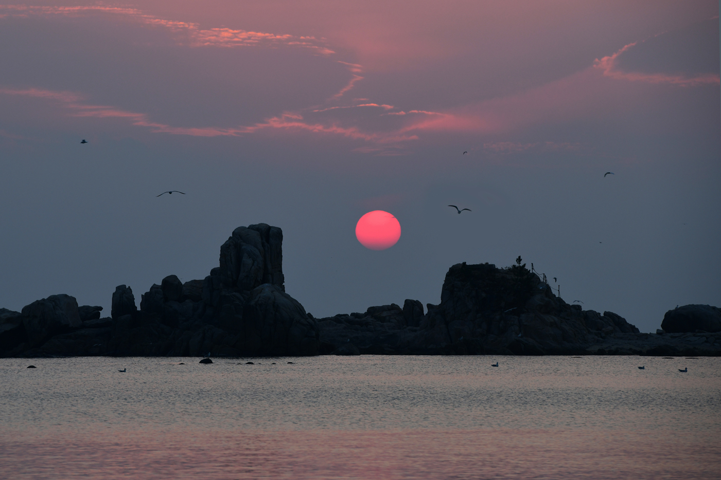 DSC_3990-2ㅎ-14.jpg