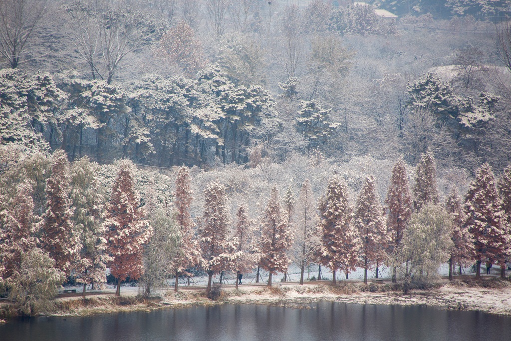 _49a9806.jpg