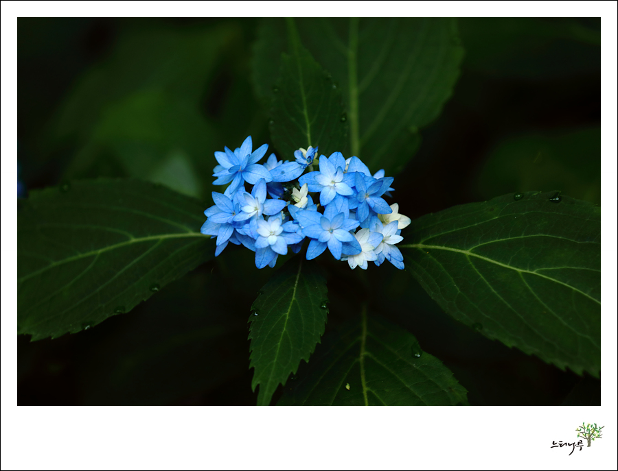 1D5A7637.jpg