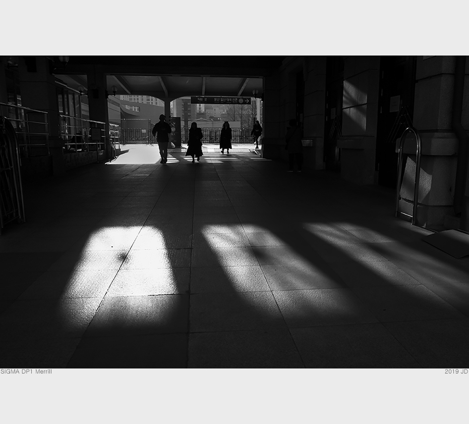DP1M7391.jpg