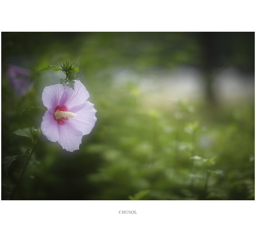 _D3A4858.jpg