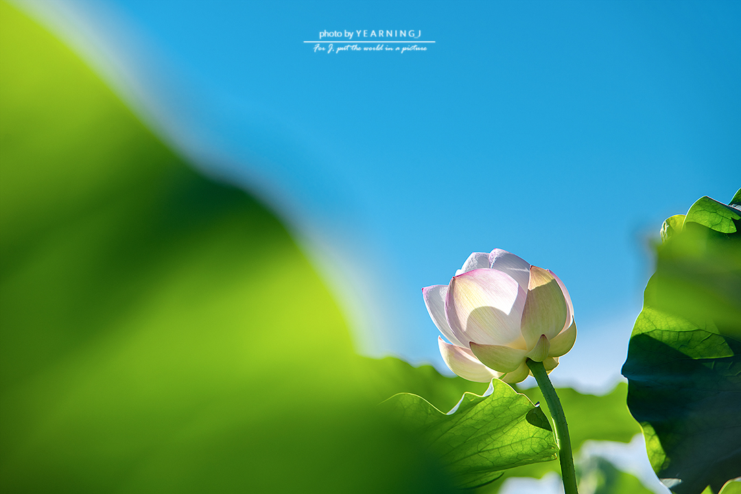 24K_6195-1.jpg