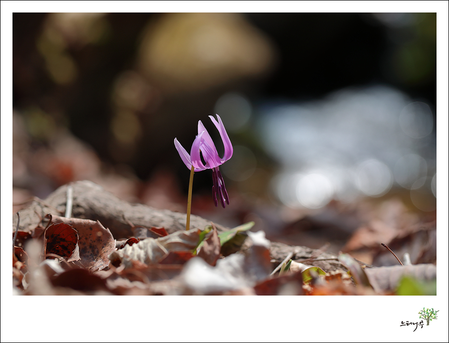 1D5A7052.jpg