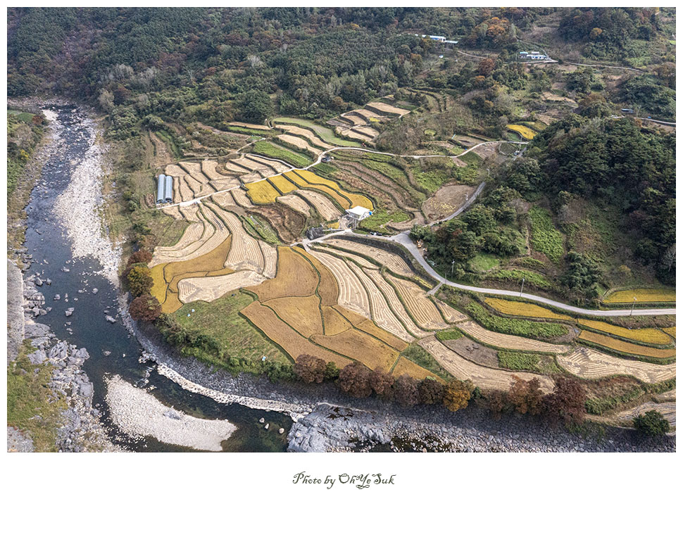 DJI_0371 사본.jpg