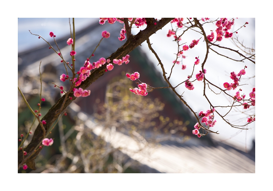 20160320-_49a9483a.jpg