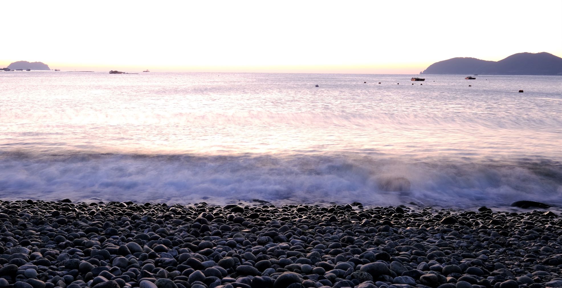 DSCF9572 w.JPG