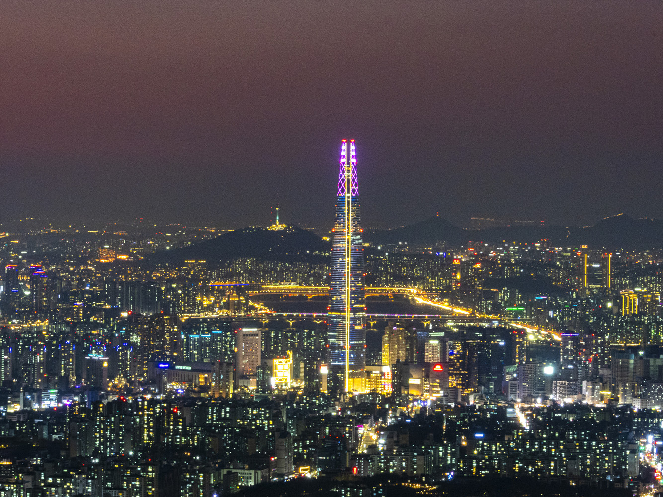 쇠뜨기풀 포자낭 1.jpg