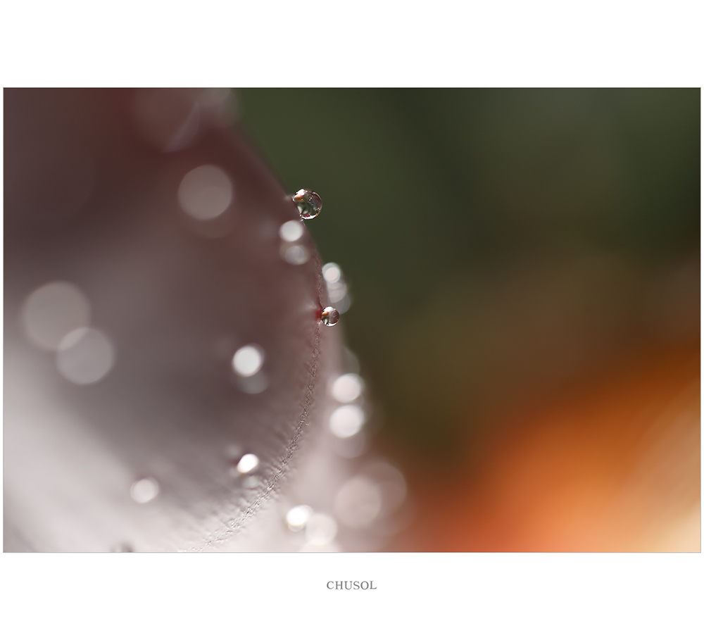 _d3a7948.jpg