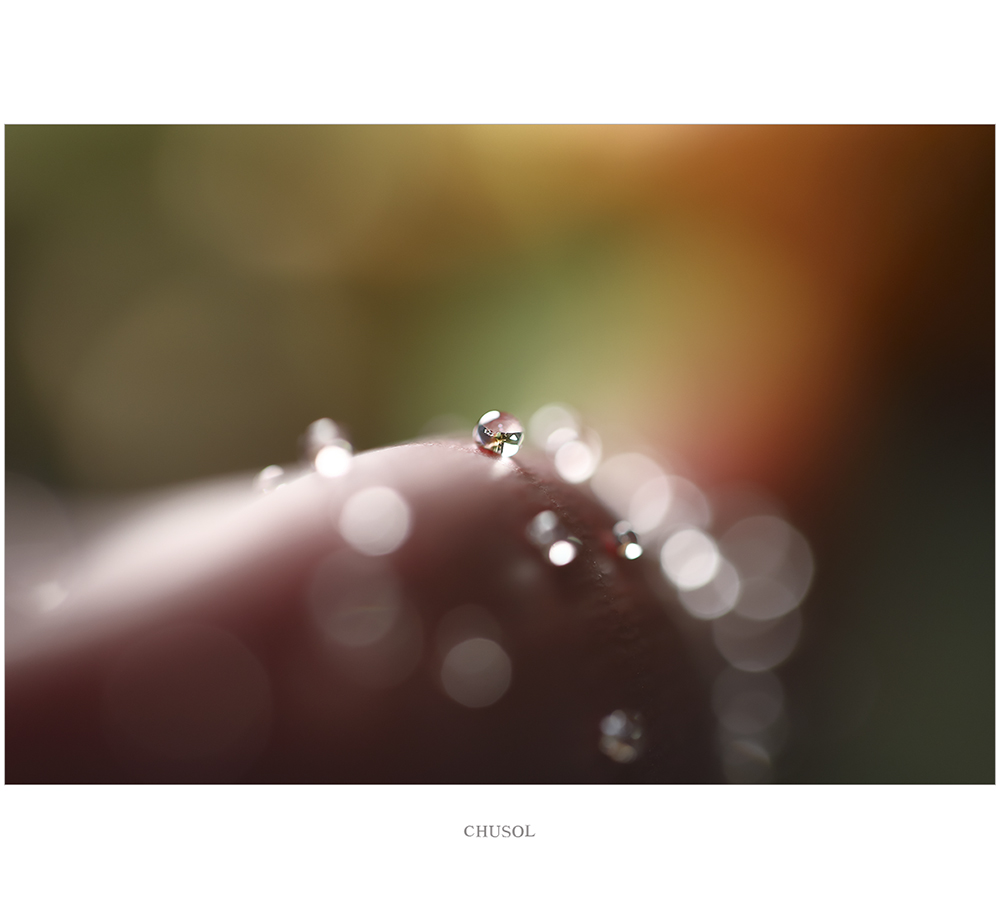 _d3a7945.jpg