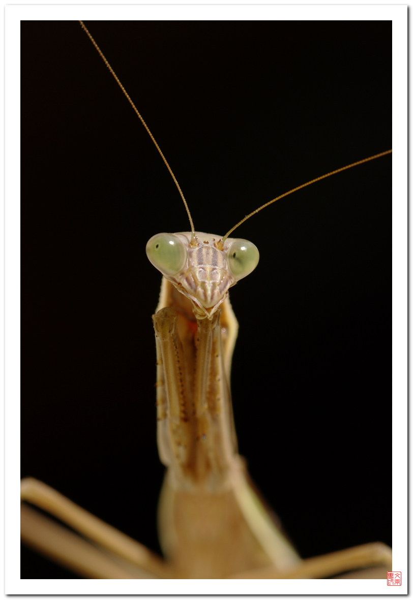 SG203866_rs_si.JPG