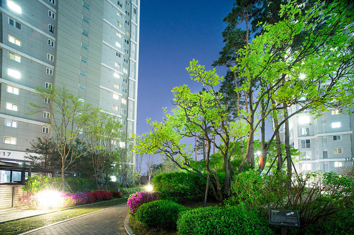 20180427-DSC02549 copy-8.jpg