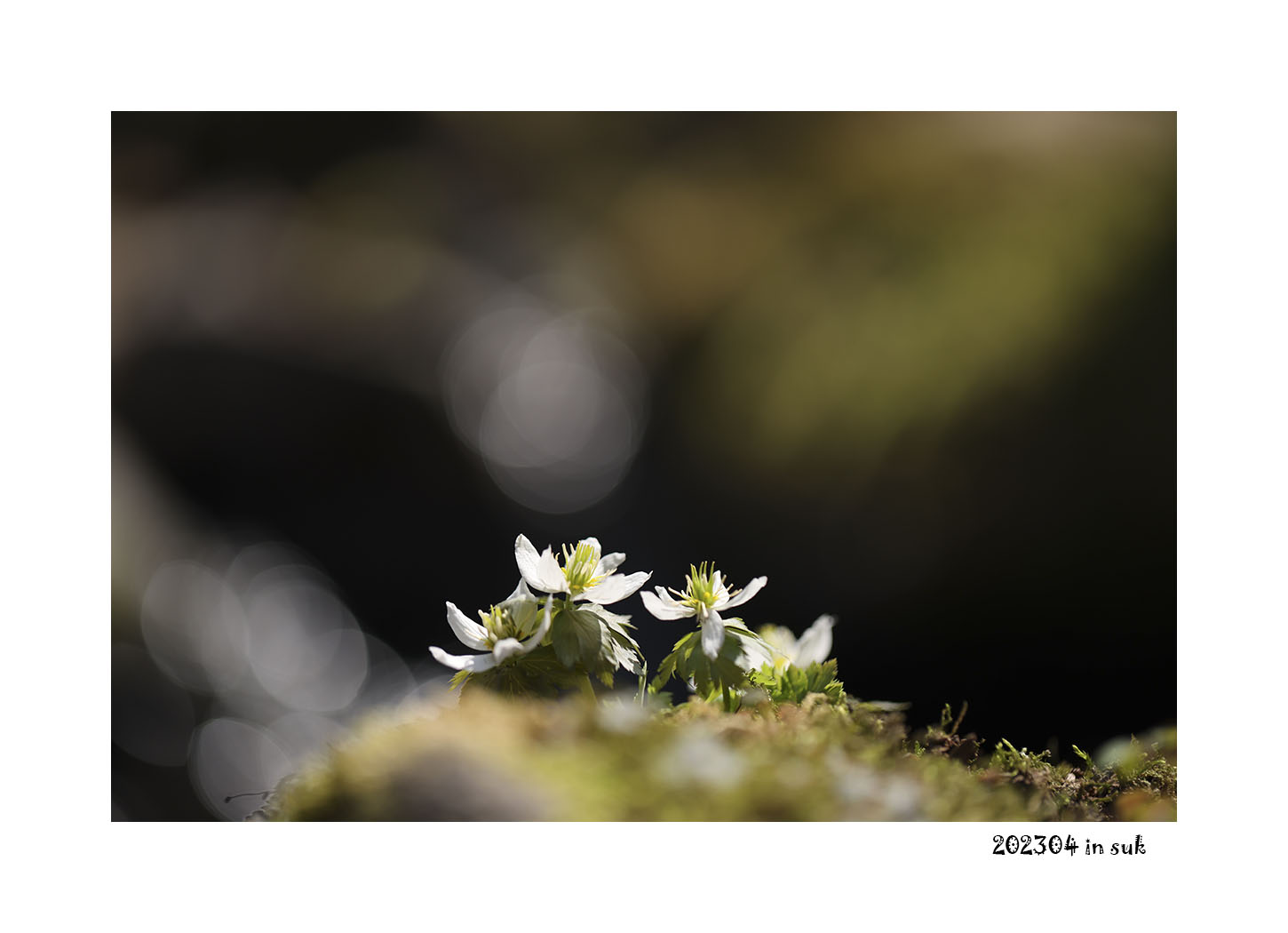 071A7209 사본-5.jpg