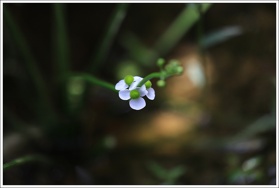 P4_leejy99999_1786697563.jpg