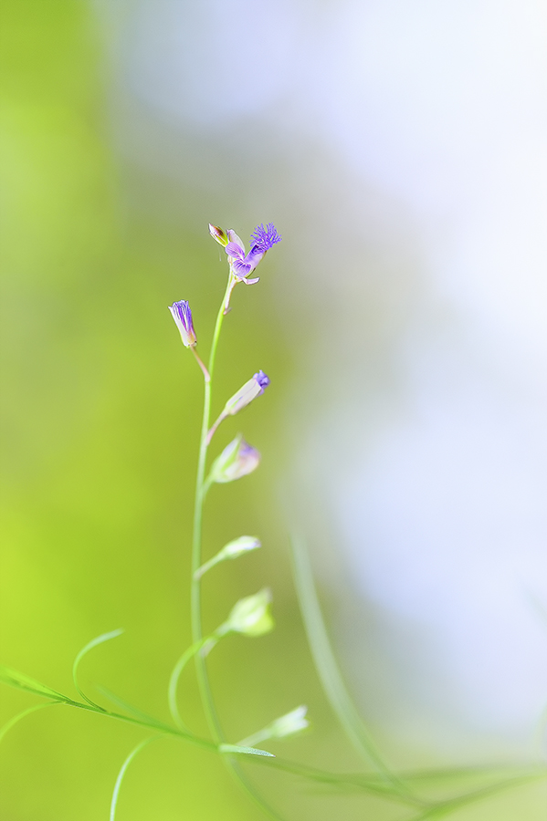 _SMJ6975_00001-2.jpg