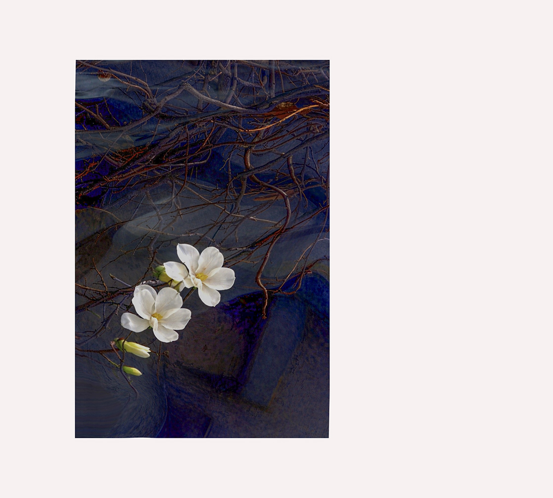 핸드폰 사진-2.jpg