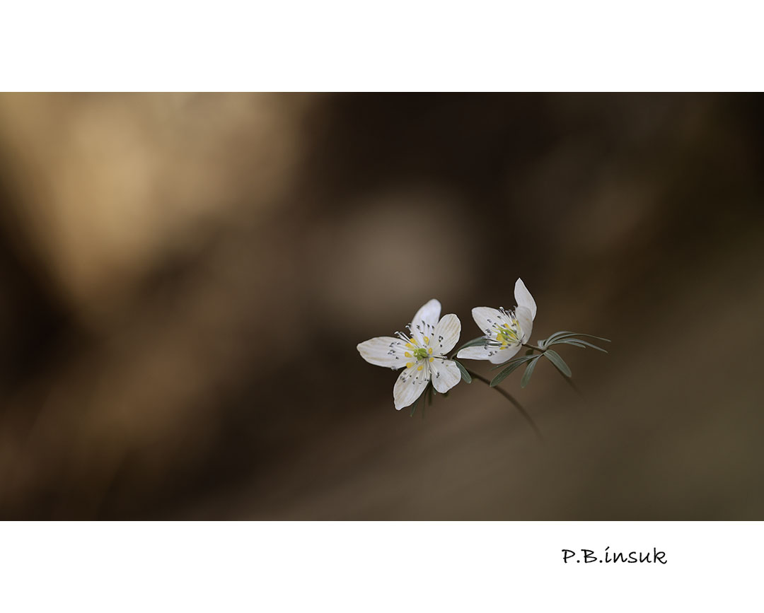 071A9360-2.jpg