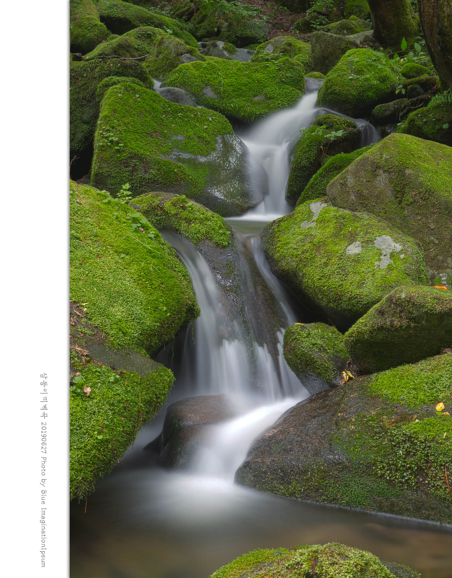 상동이끼 계곡2_HDR2ps.jpg