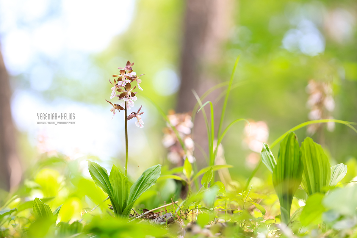 beantree250511_1263(YH)1200.jpg