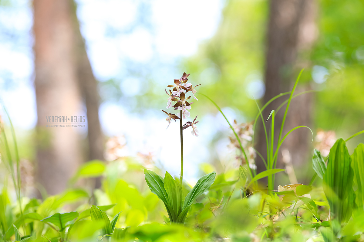 beantree250511_1269(YH)1200.jpg
