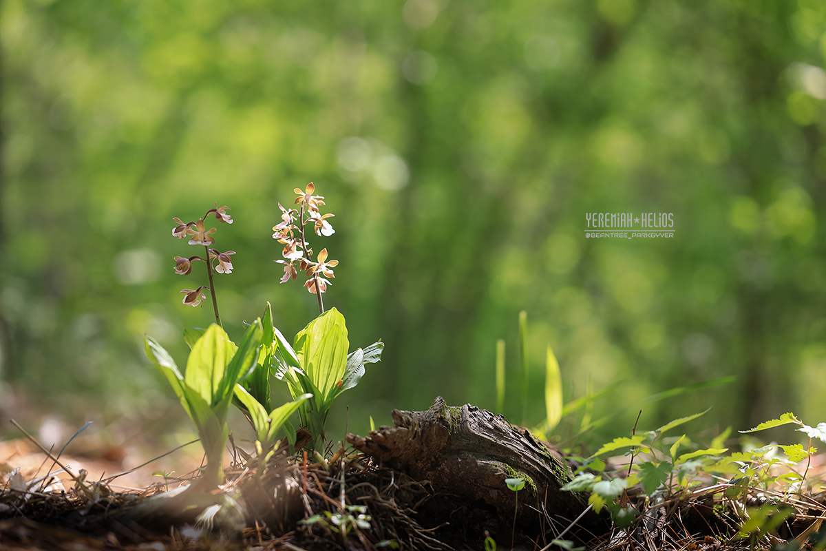 beantree250511_1296(YH)1200.jpg