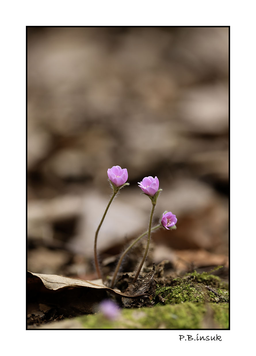 071A9442-2.jpg