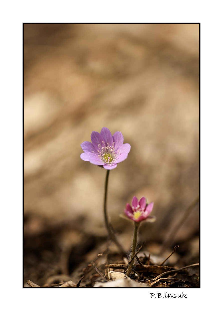 071A9210-1.jpg