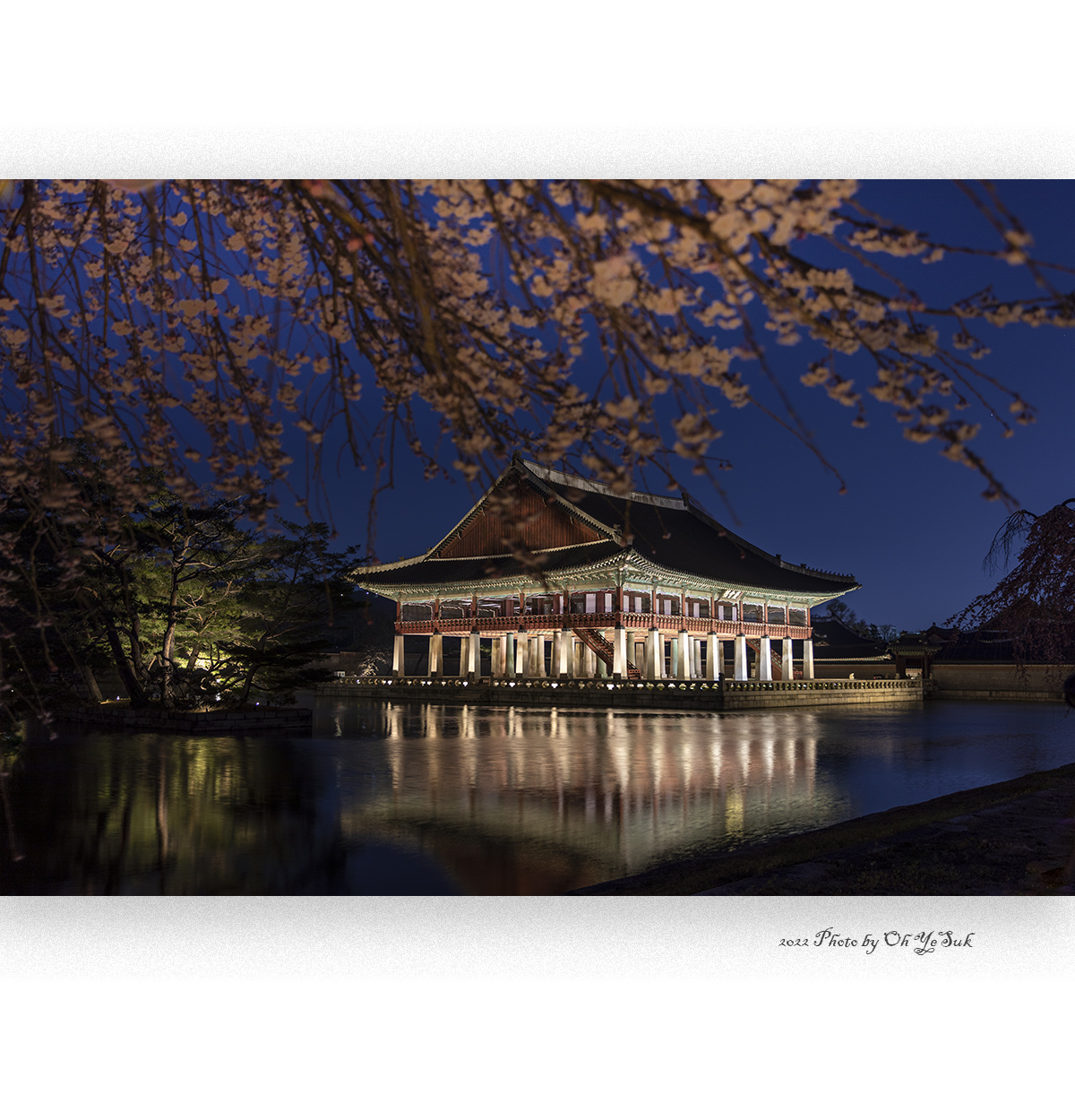 IU5A0196 복사.jpg