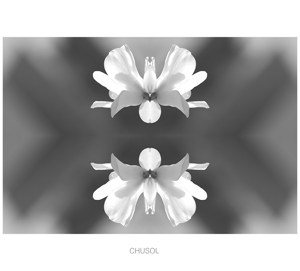 _D3A3856.jpg