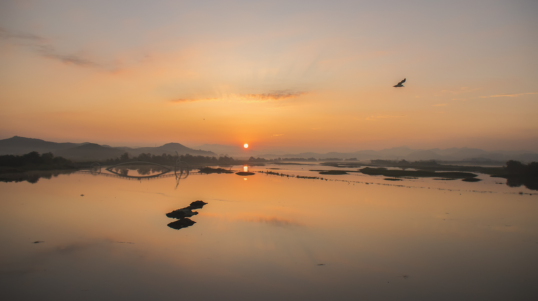 DSC_2966-3.jpg