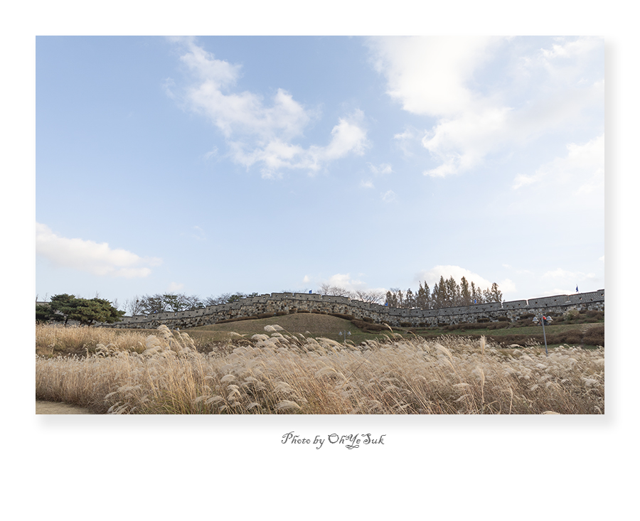 BL1A4722 복사22.jpg