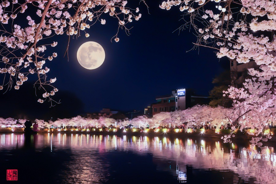 연화지 보름달 900x600.jpg