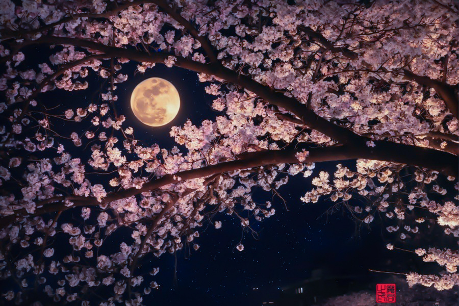 연화지 보름달 3 900x600 (1).jpg