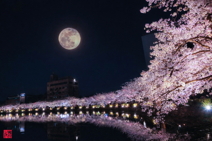 연화지 보름달 4.jpg