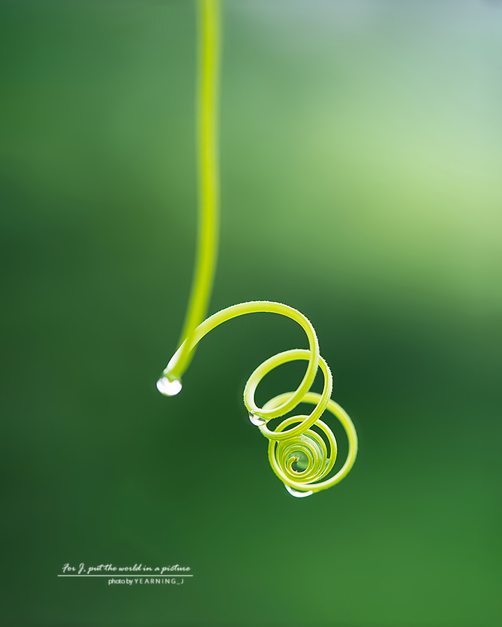 24K_8389-1feel.jpg