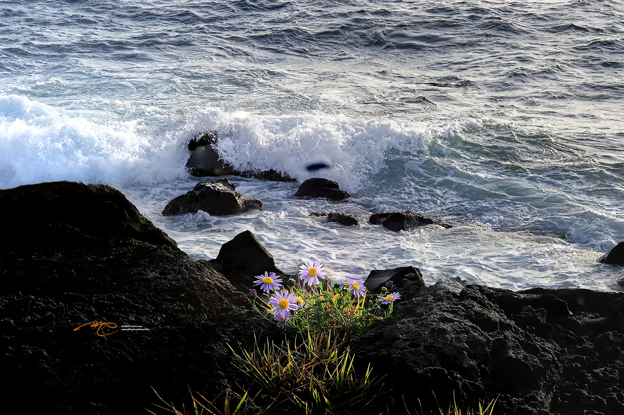 제목 없음2-2.jpg