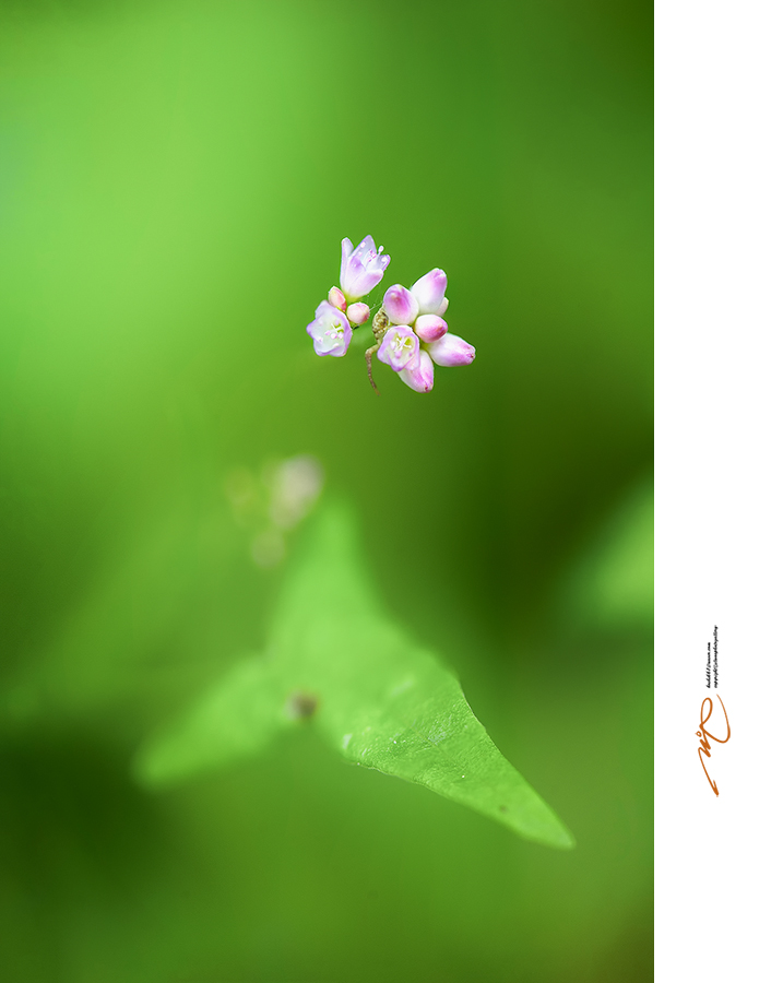 제목 없음1_00001-2.jpg