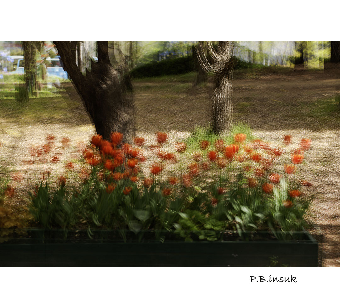 071A7492-1 복사-1.jpg
