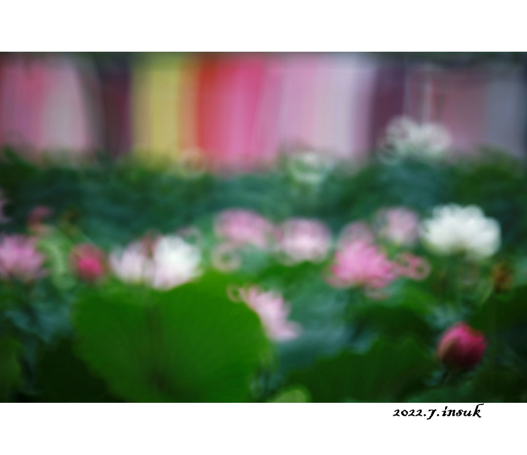 700_IM_0342 복사.jpg