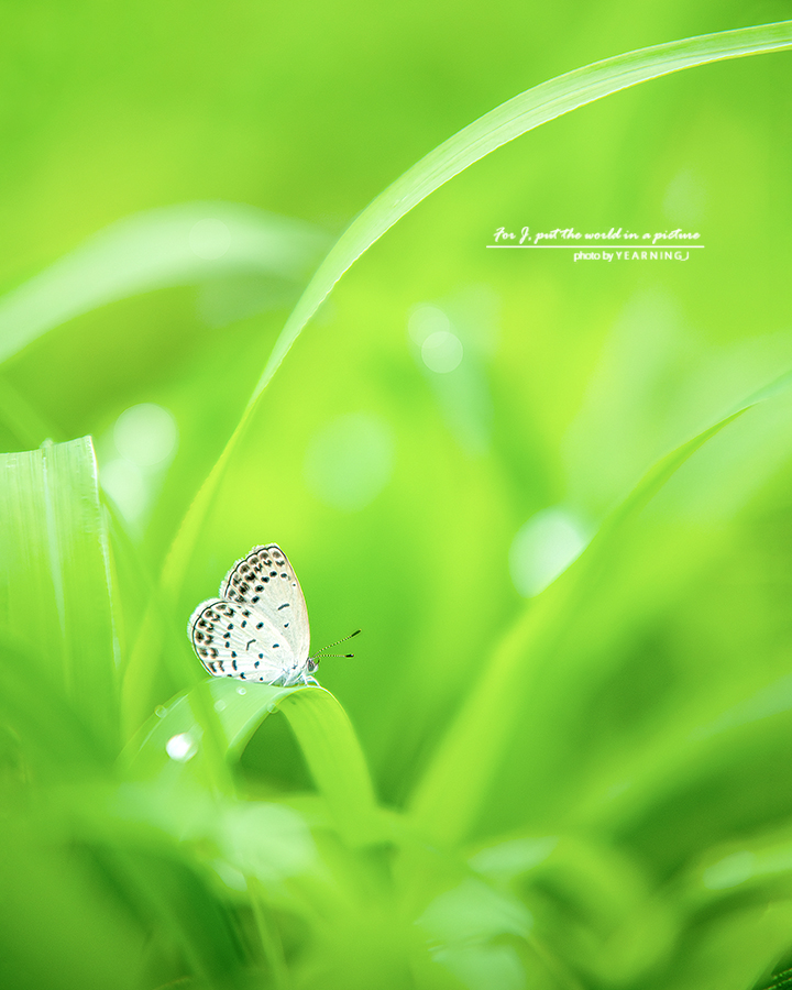 24K_8018-1feel.jpg
