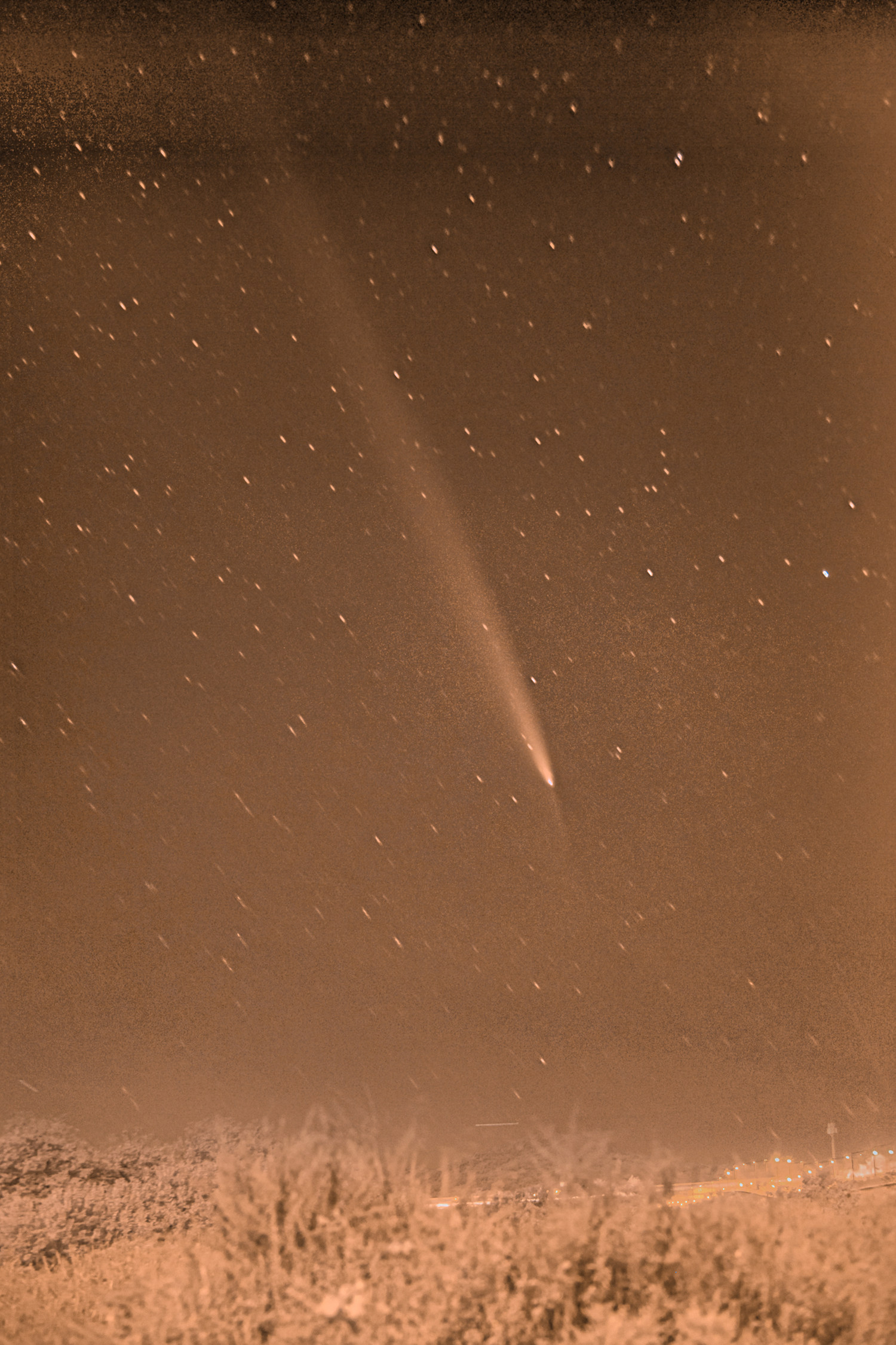 1729264095032-1.jpg